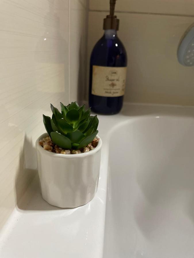 Rai Residence ブラショフ エクステリア 写真